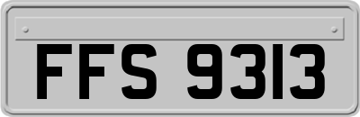 FFS9313