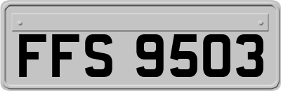 FFS9503