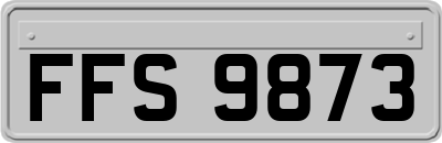 FFS9873