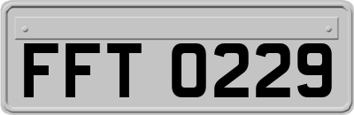 FFT0229