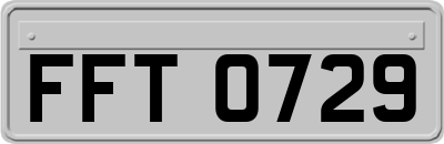 FFT0729