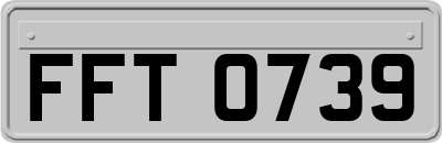 FFT0739