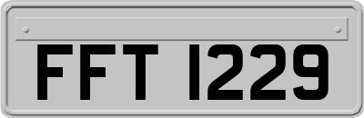 FFT1229