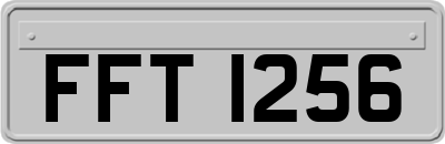 FFT1256