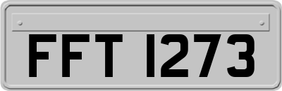 FFT1273