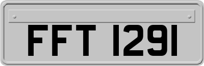 FFT1291