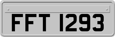 FFT1293