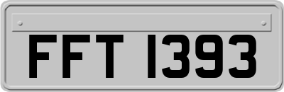 FFT1393