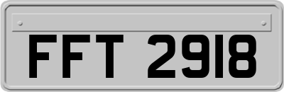 FFT2918