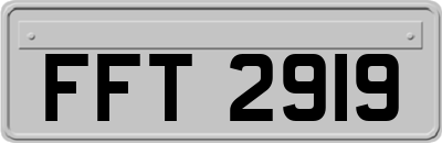 FFT2919