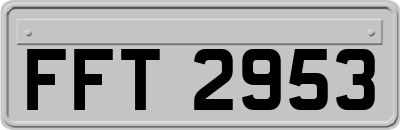 FFT2953