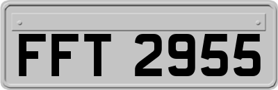FFT2955