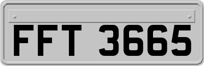 FFT3665
