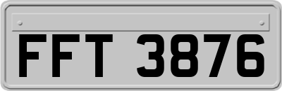 FFT3876