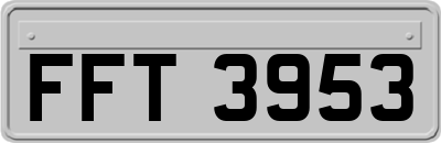 FFT3953