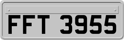 FFT3955