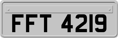 FFT4219