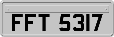 FFT5317