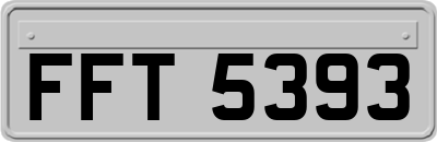 FFT5393
