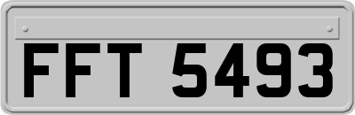 FFT5493