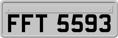 FFT5593