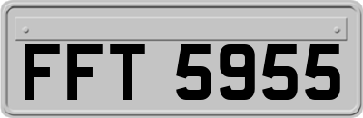 FFT5955