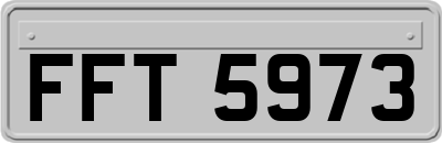 FFT5973