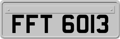 FFT6013