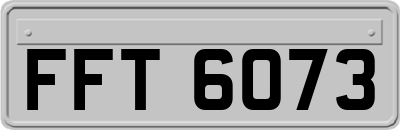 FFT6073