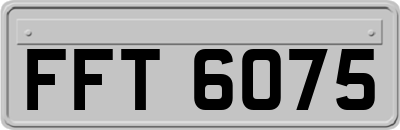 FFT6075