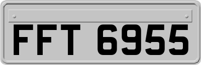 FFT6955
