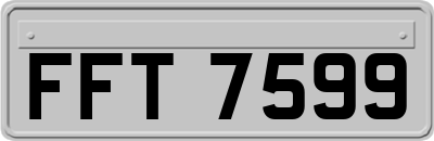 FFT7599