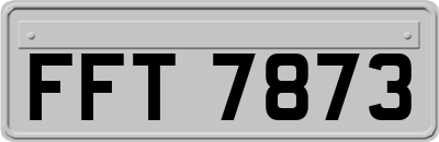 FFT7873