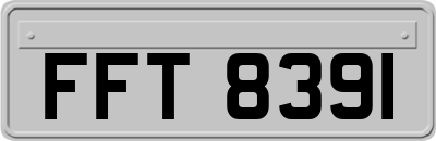 FFT8391