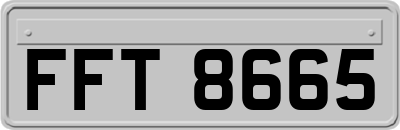 FFT8665