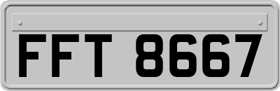 FFT8667