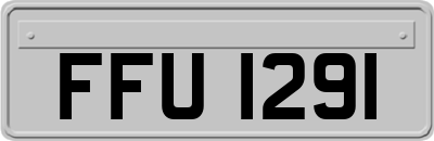 FFU1291