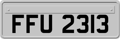 FFU2313