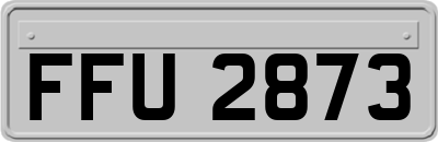 FFU2873