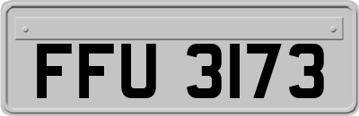 FFU3173