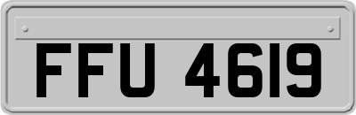 FFU4619