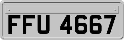 FFU4667