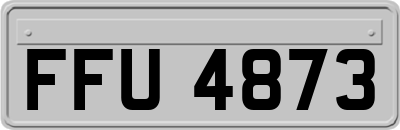 FFU4873