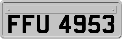 FFU4953