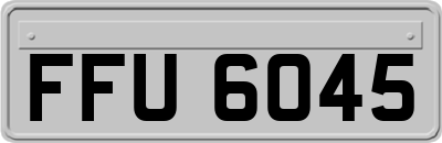 FFU6045
