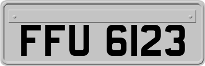 FFU6123