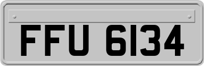 FFU6134