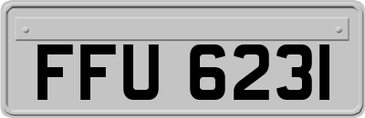FFU6231