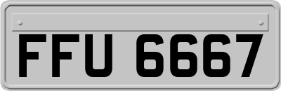 FFU6667