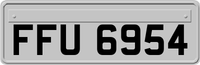 FFU6954